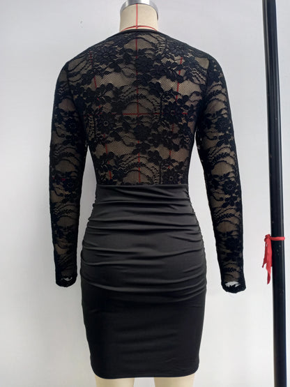 Sheer Lace Long Sleeve Bodycon Mini Dress – Ruched Crew Neck Party Dress